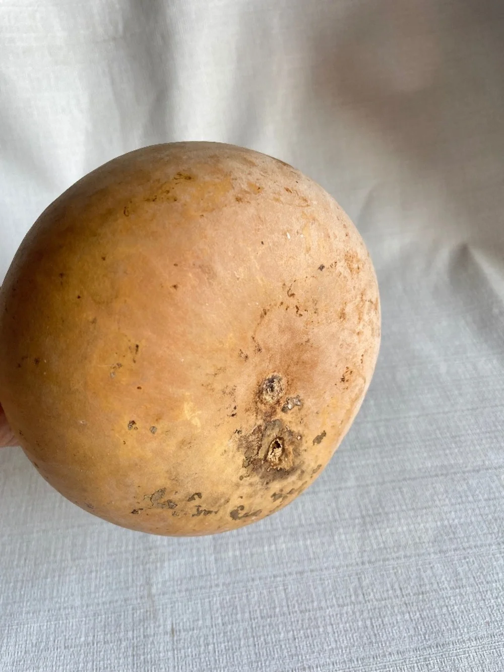Restoration Hardware Natural Brown Gourd Accent